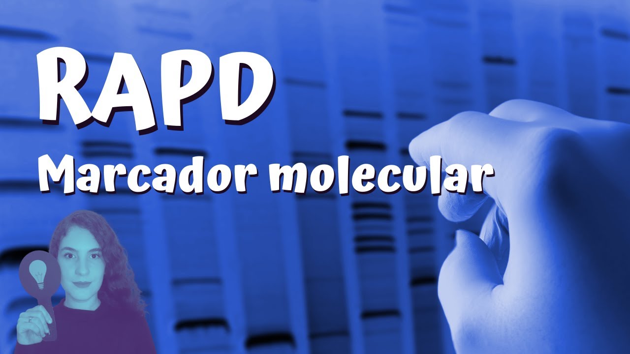 Random Amplified Polymorphic DNA (RAPD)