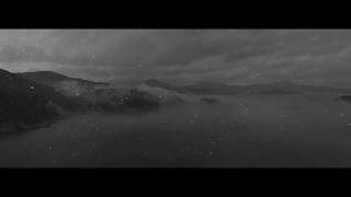 MezzoSangue - Tree - Roots &amp; Crown