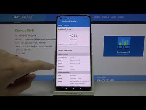 How to Run Vulkan GPU Geekbench 5 on Xiaomi Mi 11 – Geekbench