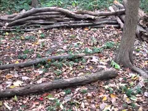 An Afternoon Out With Tom Brown...Tracker