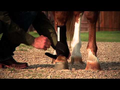 download lagu mp3 mp4 Iconoclast Boots, download lagu Iconoclast Boots gratis, unduh video klip Iconoclast Boots