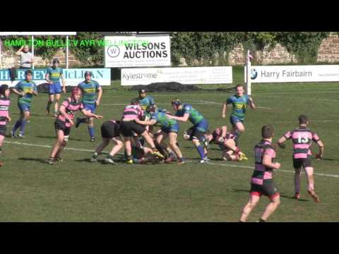 Rugby Shorts - Ayr Wellington v Hamilton Bulls