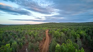 Land tenure for forest landscape restoration and sustainable land management