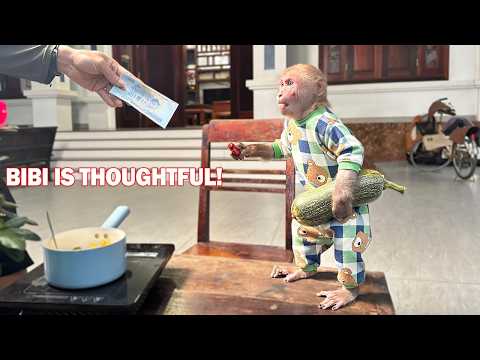 Bibi takes money to buy sausages to cook pumpkin soup for the dog!