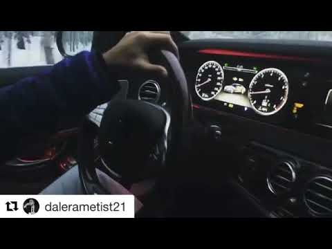 Daler Ametist в Сибирских лесах (Sahro group)