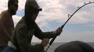big ass mako, baby! 300 pounder!!  that's my dream!!!