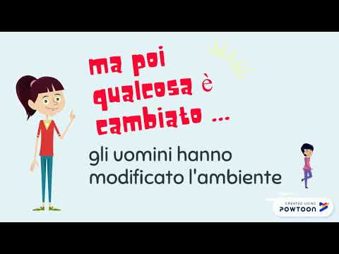 La pianura - scuola primaria