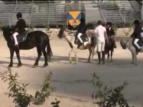 ONDA TG 3.08.2012 - IMMAGINI ESIBIZIONE EQUESTRE IL MANTOVANO