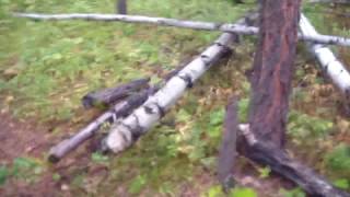 Рыбалка на реке илим иркутской области