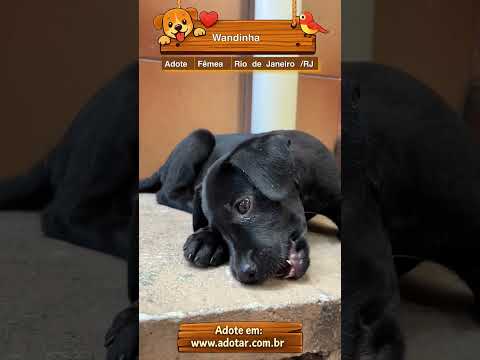 Vídeo de Wandinha