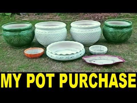 आज में क्या लाया । My luxurious pot purchase with prices