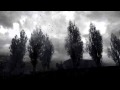 Crib45 - As I 