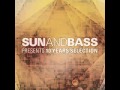 Sun and bass 10 Years Selection 2013 Drum Bass ...