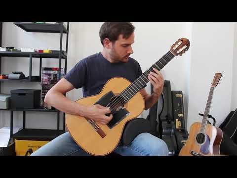 Spanish Fly | Van Halen Cover