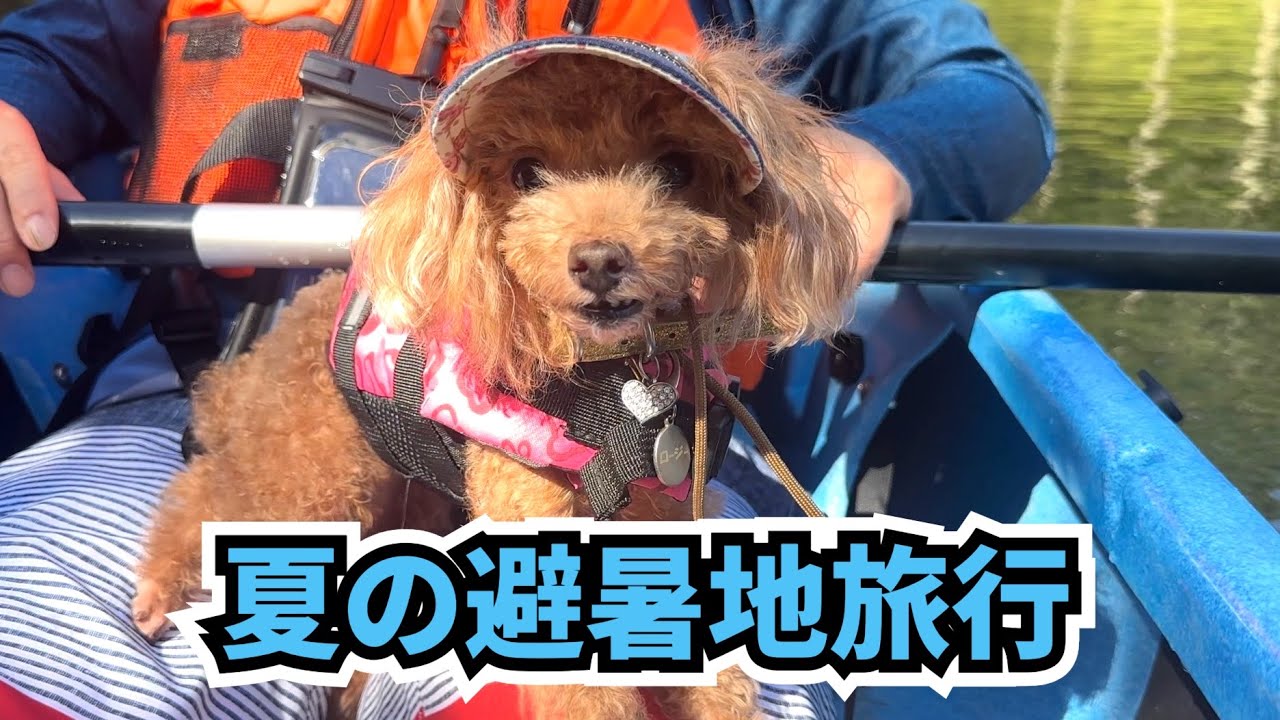 キャンピングカーで夏の避暑地へ車中泊旅行！