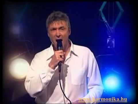 Orosz Zoltán Trio   Bardóczy Attila    Sous le ciel de Paris   Harmonika   Accordion