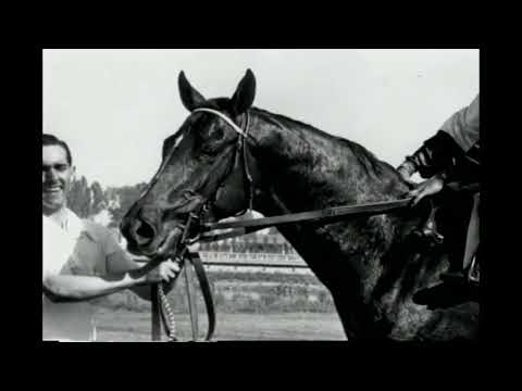 CHRHF - 2003 Inductee - Ace Marine