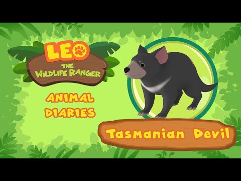 Witness21 Editor  2021 08 12