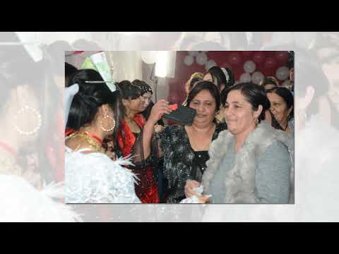 bijav Sefkija & Fekrija HD 4 studio Dzogani 4K ULTRA HD PRO