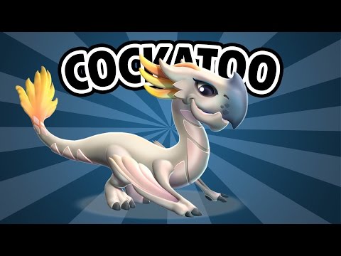 How to breed COCKATOO - Dragon Mania Legends