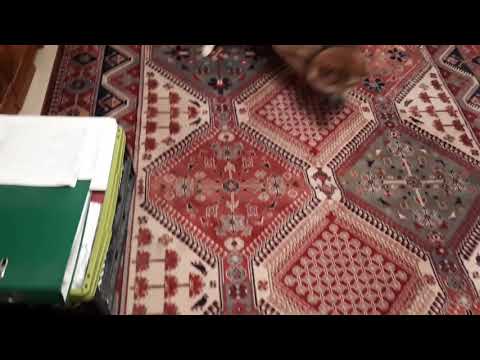 Shiba &  vacuum cleaner