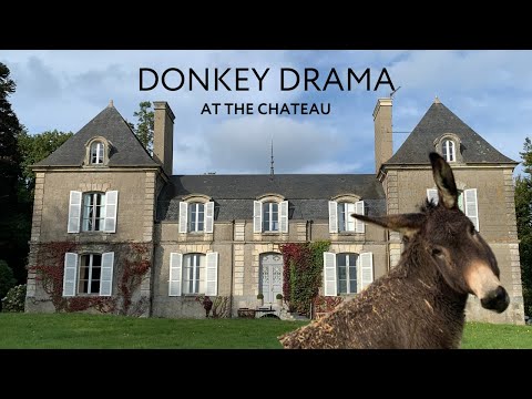 Creepy Chateau DISCOVERY! Plus Donkey Drama | Our French Chateau: Episode 4