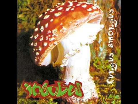 Speak Free - Incubus