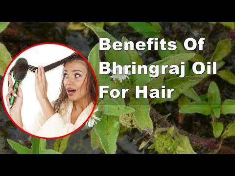 Benefits of bhringraj oil for hair
