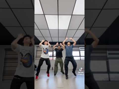 Pakito Pakito Tiktok Dance Compilation (Limb by Limb)