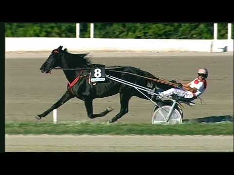 Napoli Trotto 06/11/2022 - 4ª corsa