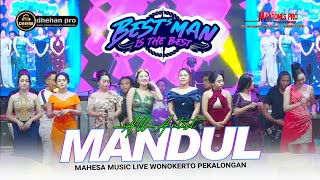 Download lagu MANDUL - ALL ARTIS - MAHESA MUSIC LIVE BESTMAN TRATEBANG WONOKERTO PEKALONGAN mp3