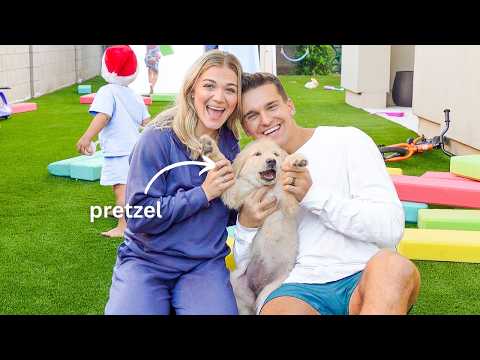 A day in the life with a puppy