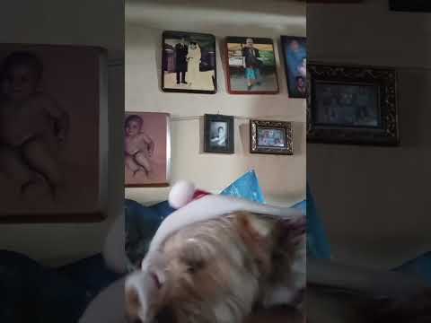 22 de diciembre de 2025