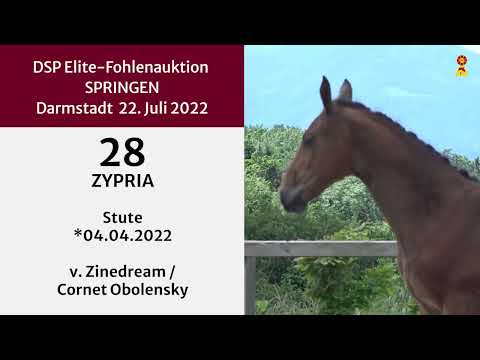 KN 28: Stutfohlen v. Zinedream/Cornet Obolensky