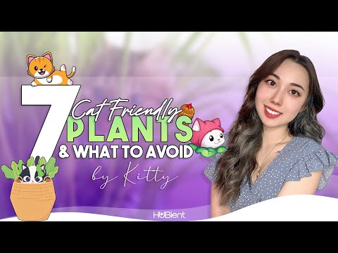 7 Cat Friendly Plants & What to Avoid