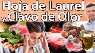 Bay Leaf and Clove Can Save You - What Are They Good For? - Benefits for Your Health and Beauty