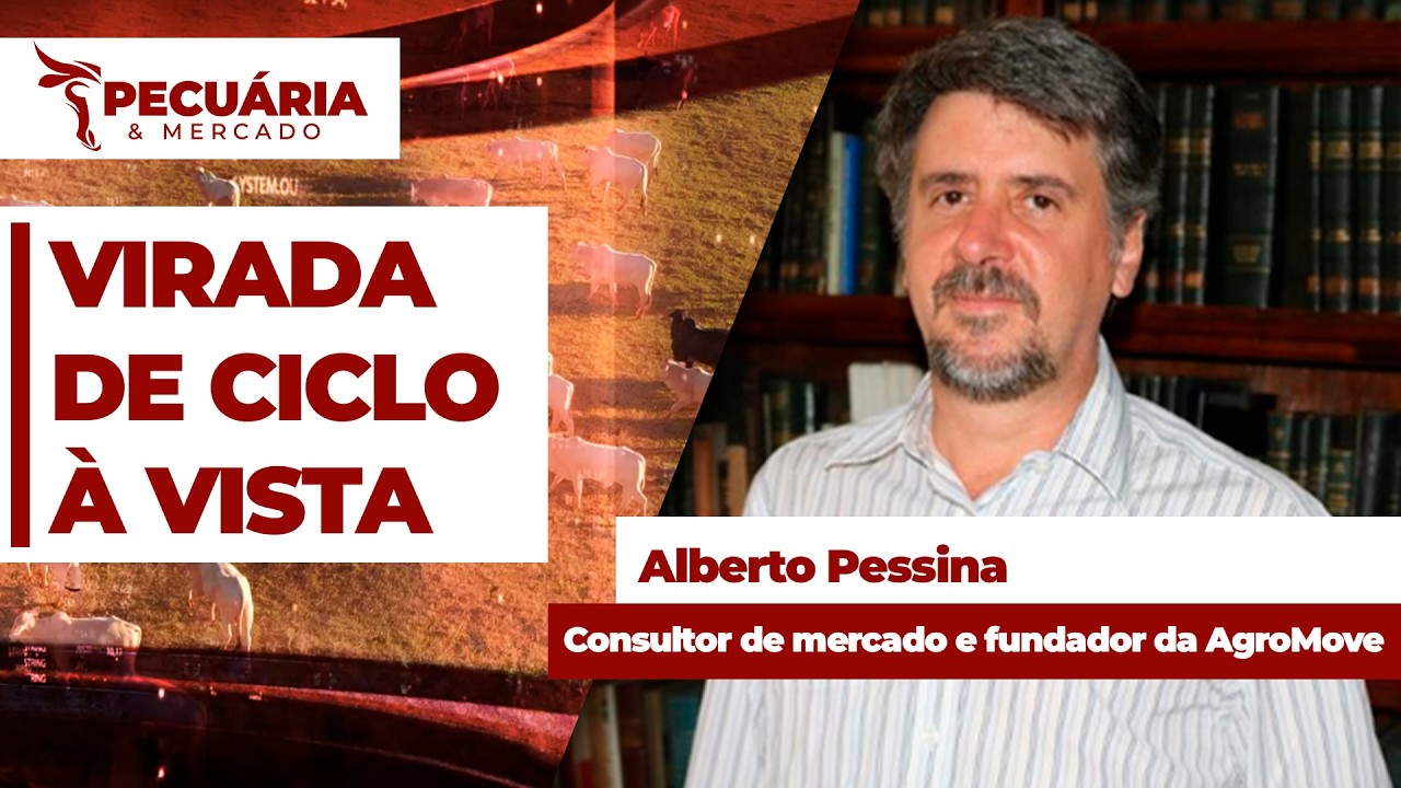 PECUÁRIA & MERCADO - EDIÇÃO 04-08-2026