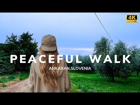 Peaceful ASMR Walk in Ankaran: A Serene Journey Along the Slovenian Adriatic Coast