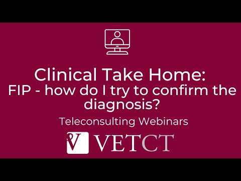 Twelve-minute Take Homes: FIP - how do I try to confirm the diagnosis? with Dr. Kate Murphy