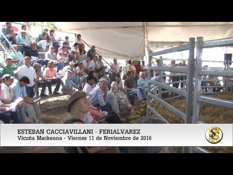 11-11-16 - Esteban Cacciavillani - Ferialvarez