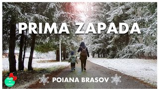 Prima zăpadă - Poiana Brașov 2019