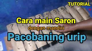 Download lagu How to play Gamelan Saron Pelog intro Life's trials. mp3 Download lagu How to play Gamelan Saron Pelog intro Life's trials. mp3