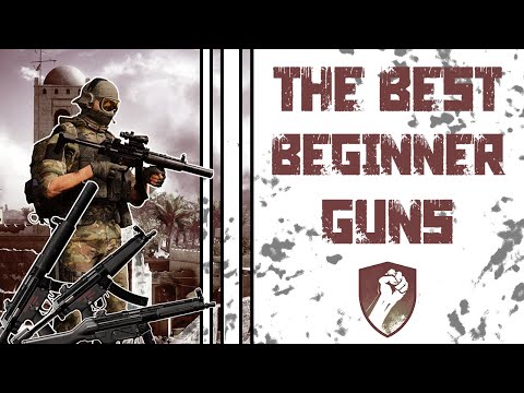 The Best Beginner Gun for Every Class | FIVE MINUTES IN SANDSTORM