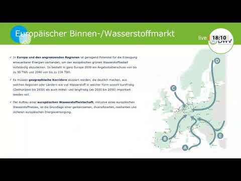 Fachgespräch zum europäischer Binnen-/ Wasserstoffmarkt