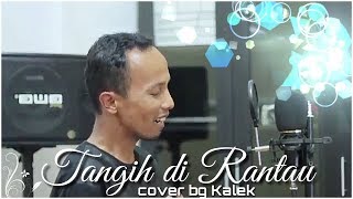 Download lagu TANGIH DIRANTAU -zalmon-cover Kalek mp3