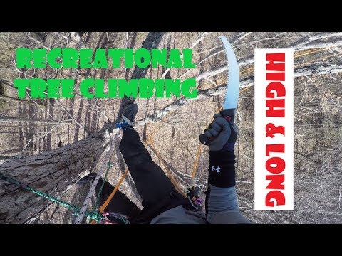 Recreational Tree Climbing: High & Long, Traversing Tree to Tree