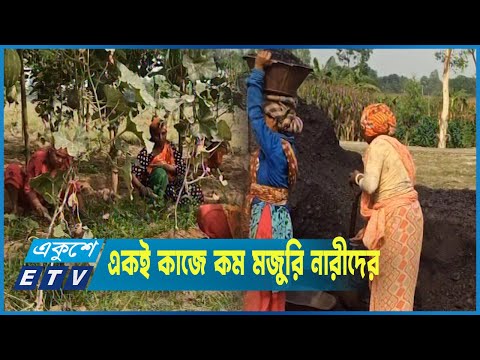 কাজে অংশগ্রহন বাড়লেও মজুরি বাড়েনি নারীদের