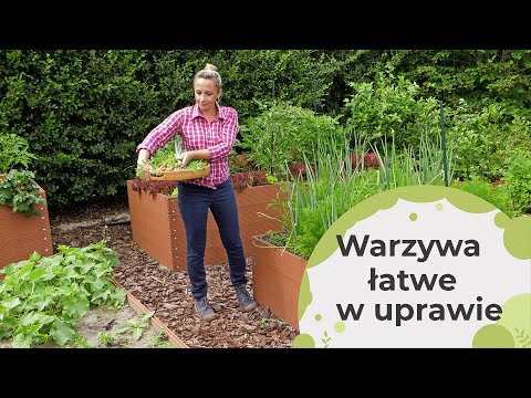 Jakie warzywa są łatwe w uprawie?