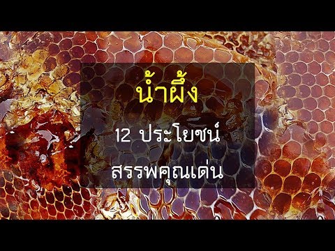 กางเกงชั้นในสาว ๆ ตื่นเต้น ราก KOLGANOV สำหรับความแรง