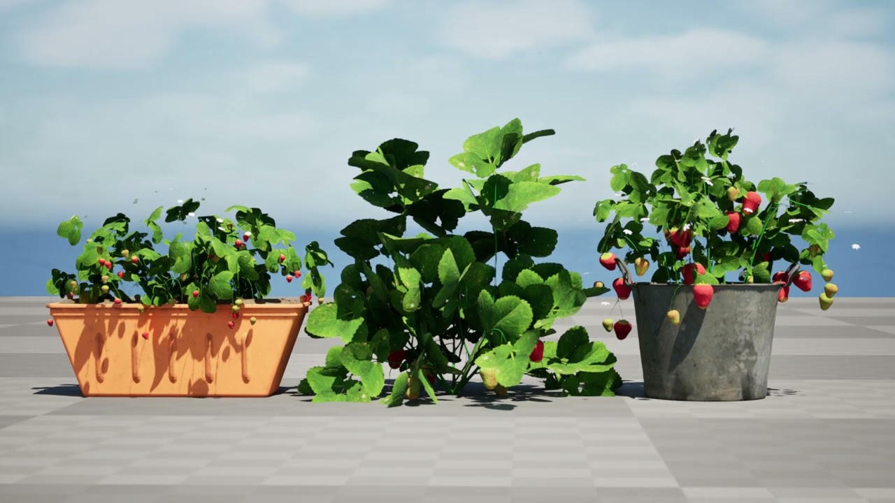 3Dイチゴ植物コレクション 3Dモデル